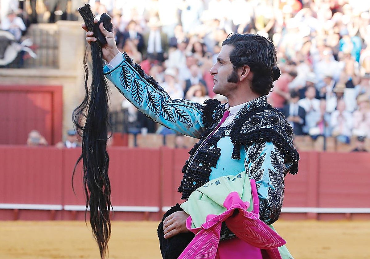 Morante de la Puebla, con el rabo y las dos orejas cortadas a Ligerito, su segundo toro