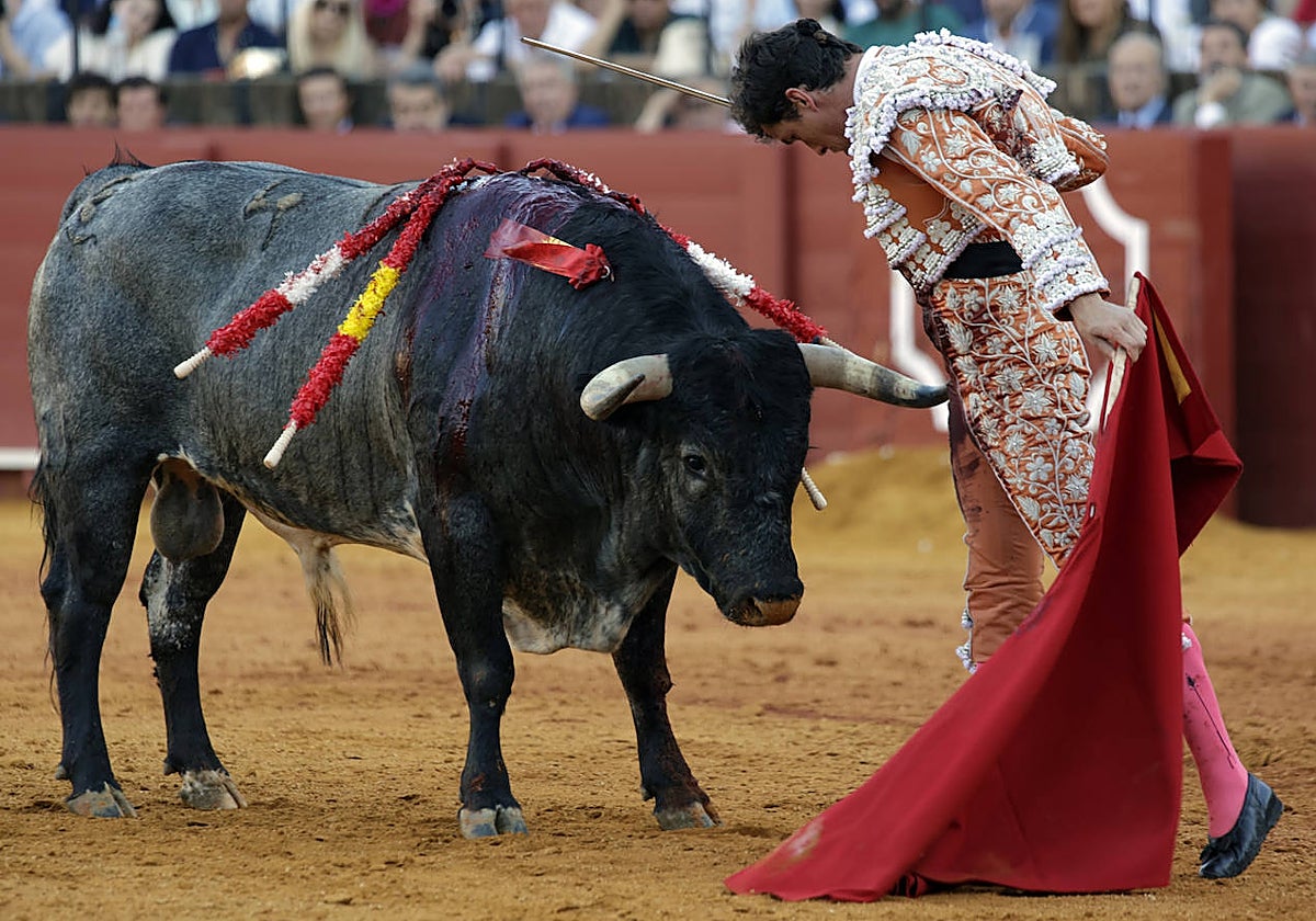 Un colosal Daniel Luque toreando en la Real Maestranza de Sevilla
