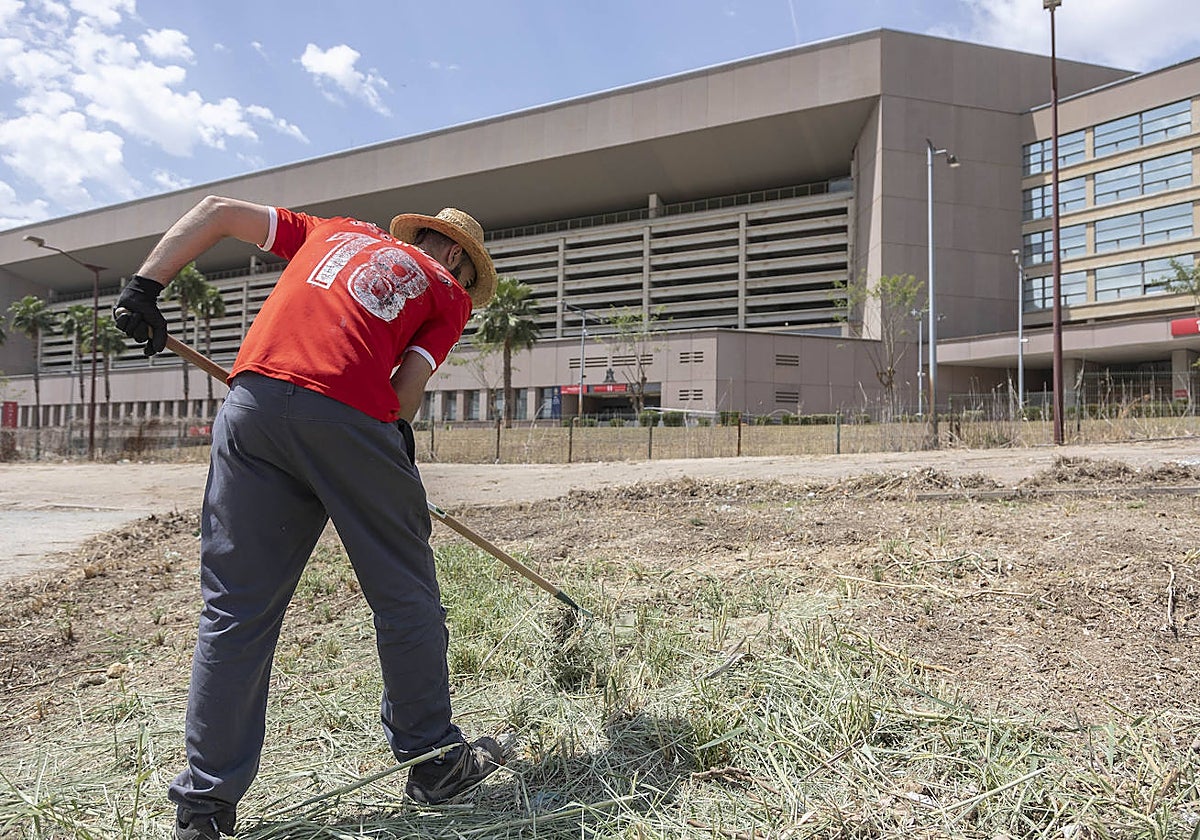 Un operario retira las malas hierbas existentes alrededor del estadio de la Cartuja