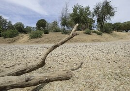 La sequía deja sin agua el Vado del Quema