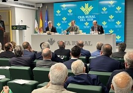 Caja Rural alcanza una solvencia del 20,17% y supera en 8,3 puntos las exigencias de las autoridades monetarias