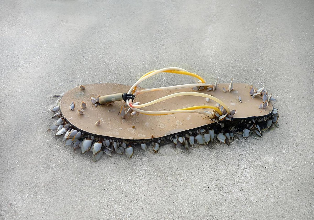 Pieza que expone Thomas Ehgartner con el nombre Untitled