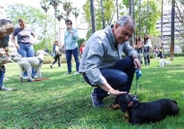 José Luis Sanz creará cuatro parques para perros por distrito y hará de Sevilla una ciudad amiga de los animales