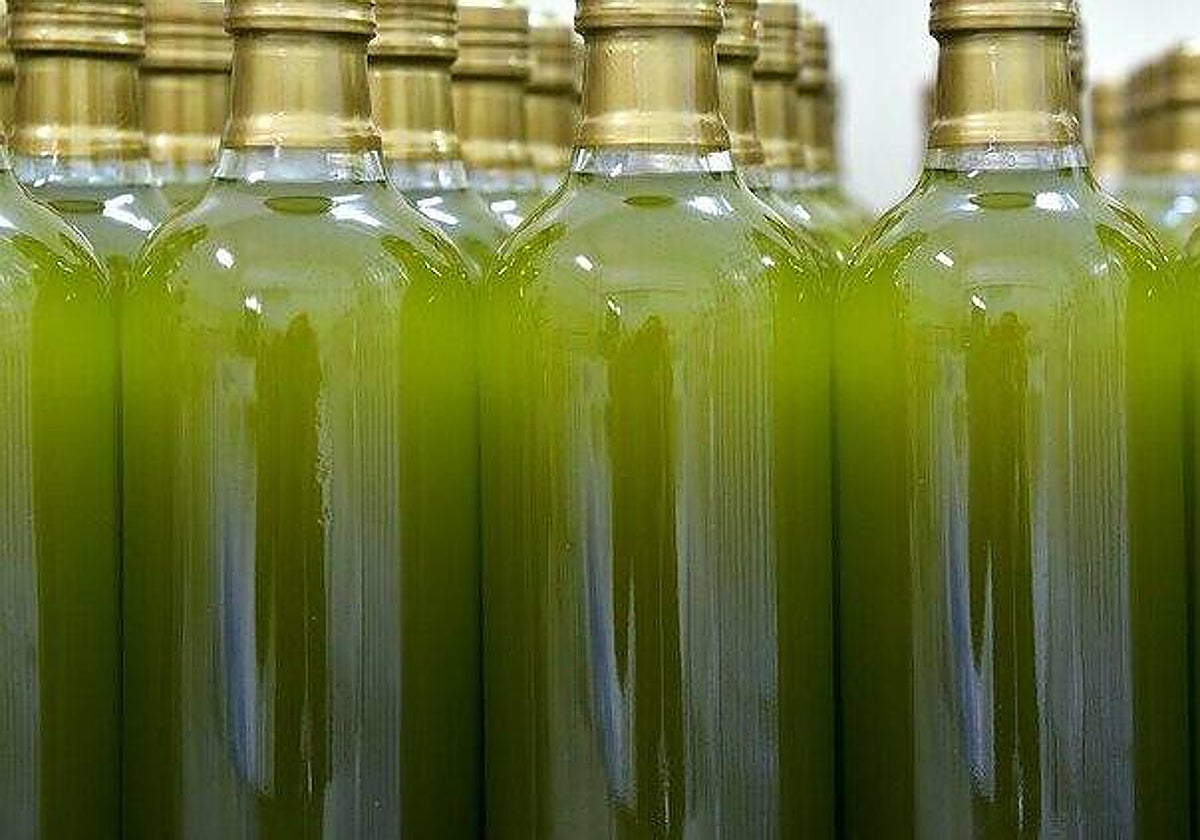 Botellas sin etiquetar de aceite de oliva