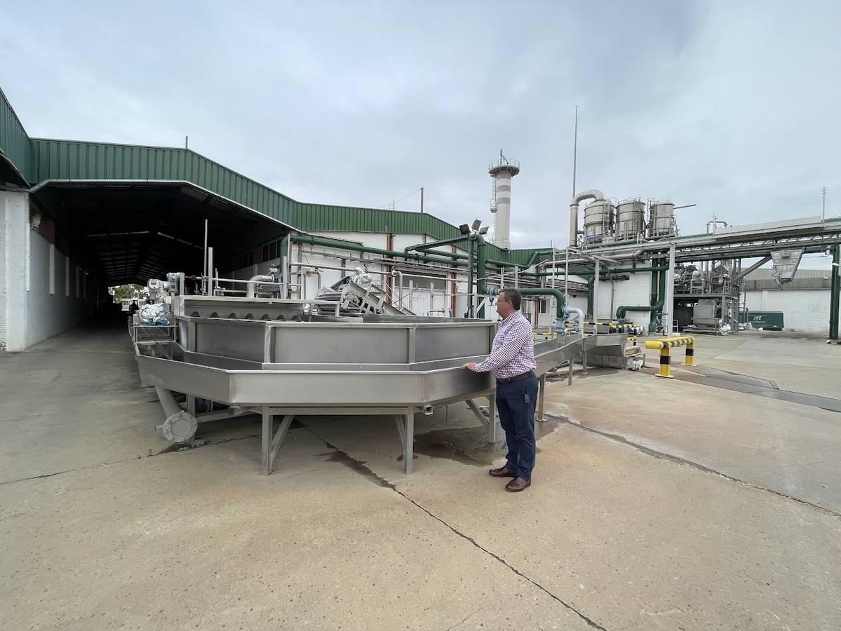 El estado actual del agro sevillano, donde los agricultores no han podido sembrar debido a la sequía