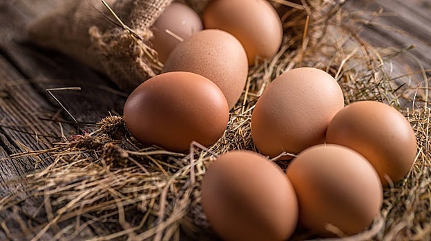¿Son peligrosos para nuestra salud los pesticidas en los alimentos? Esto es lo que dice la OCU