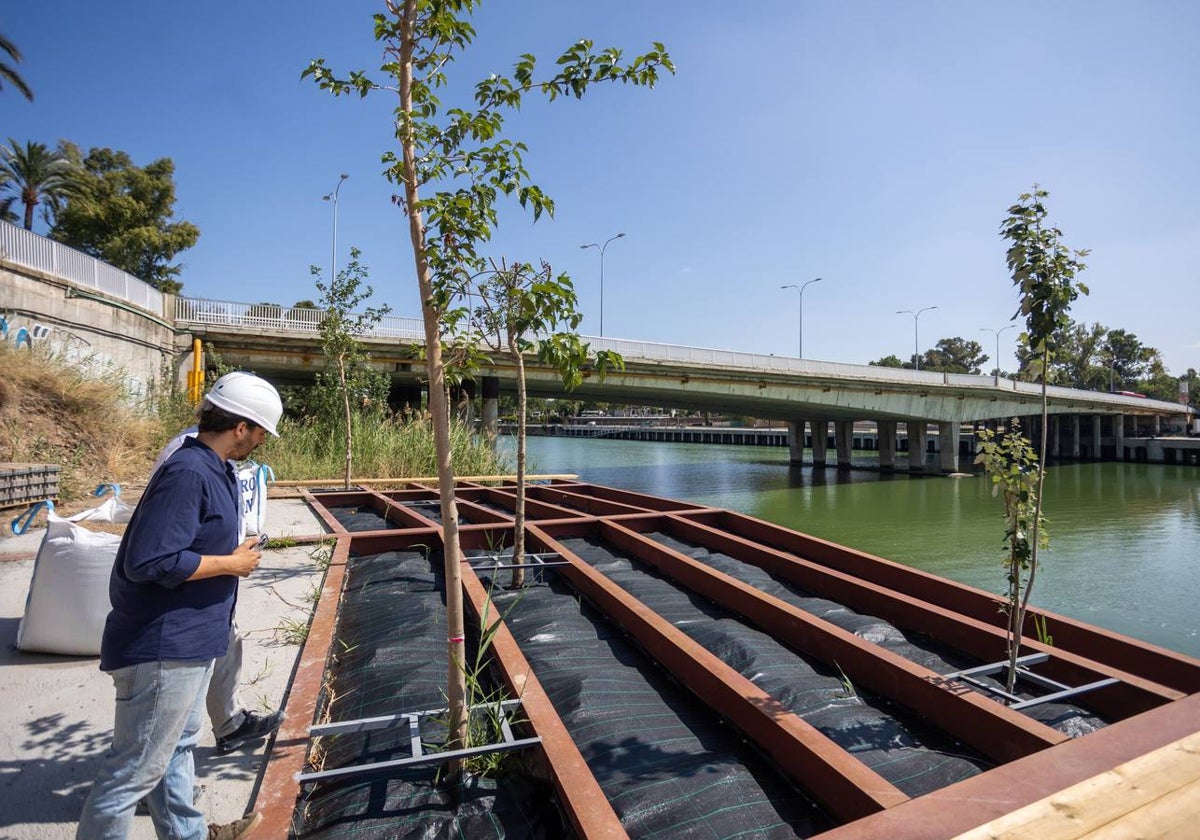 Estado actual en el que se encuentran las obras del Jardín de las Cigarreras