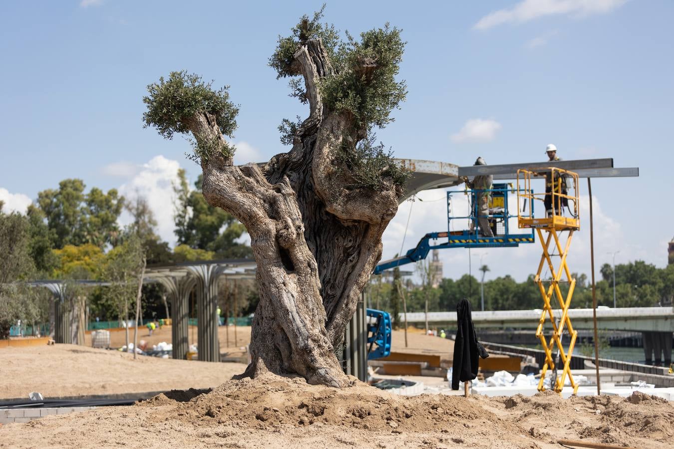 Estado actual de las obras del Jardín de las Cigarreras