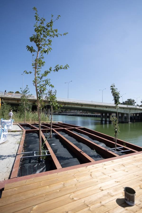 Estado actual de las obras del Jardín de las Cigarreras