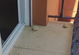 Un miembro del PSOE de San Juan de Aznalfarache denuncia pedradas a su casa