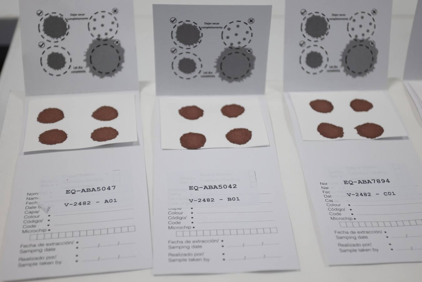 Dependencias y trabajadores del laboratorio para equinos de la ANCCE