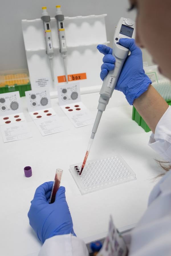 Dependencias y trabajadores del laboratorio para equinos de la ANCCE