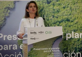 La ministra Ribera reabre la guerra política de Doñana con nuevas descalificaciones a Juanma Moreno