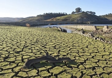 Casariche es el primer pueblo de Sevilla con cortes diarios de agua este verano debido a la sequía