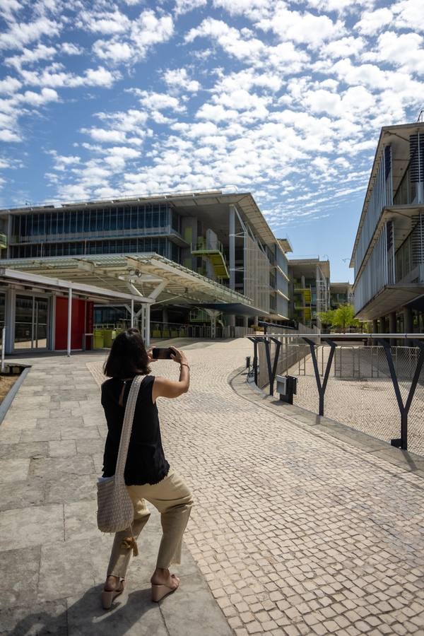 El Campus de Palmas Altas en Sevilla acogerá la Ciudad de la Justicia, a pleno rendimiento en 2028