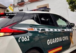 La Guardia Civil detiene a diez personas al desarticular una banda dedicada al tráfico de drogas en el Aljarafe