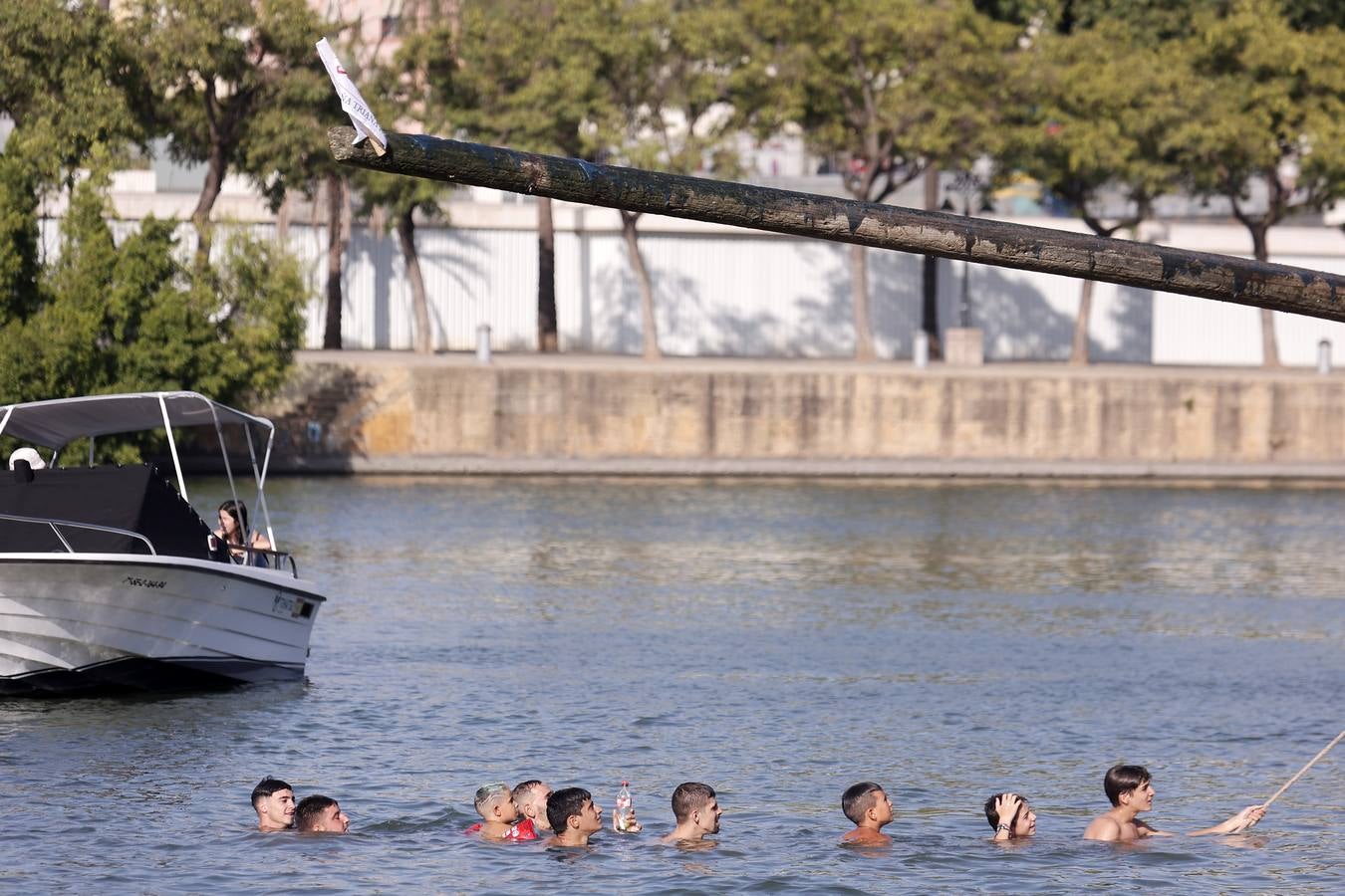 Tradicional cucaña de la Velá de Santa Ana en el barrio de Triana 