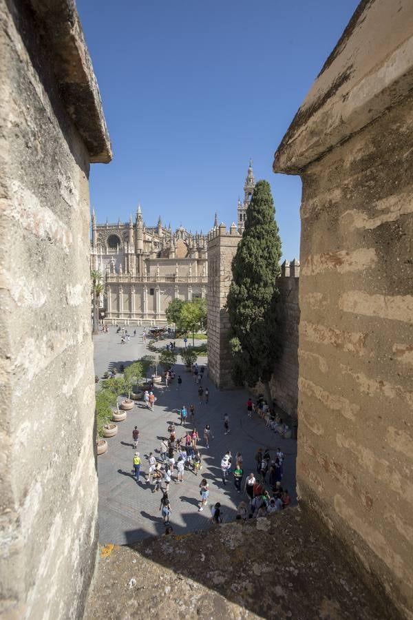 Las zonas ocultas del Alcázar de mayor curiosidad, historia o belleza