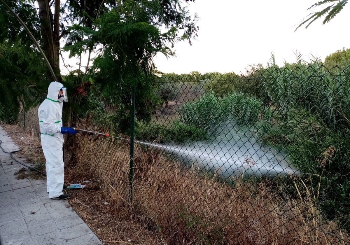 Imagen de archivo de un operario fumigando zonas cercanas a las Marismas de Sevilla