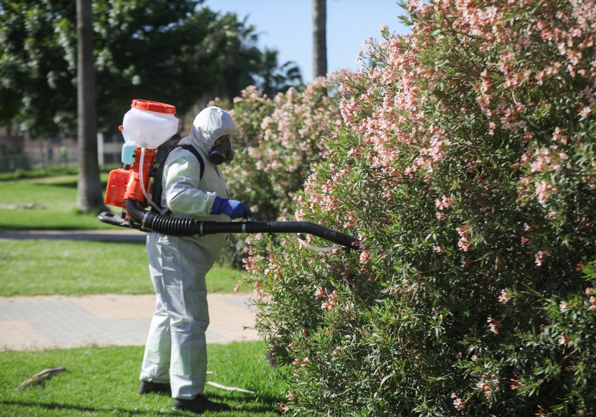 Un operario fumiga una zona de riesgo en un municipio sevillano