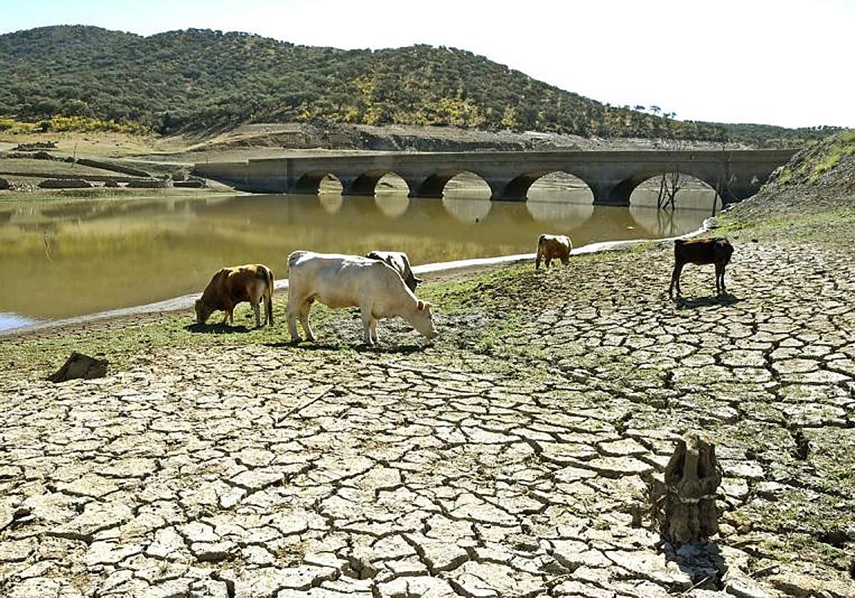 Pantano de Zufre, uno de los que abastece a Emasesa