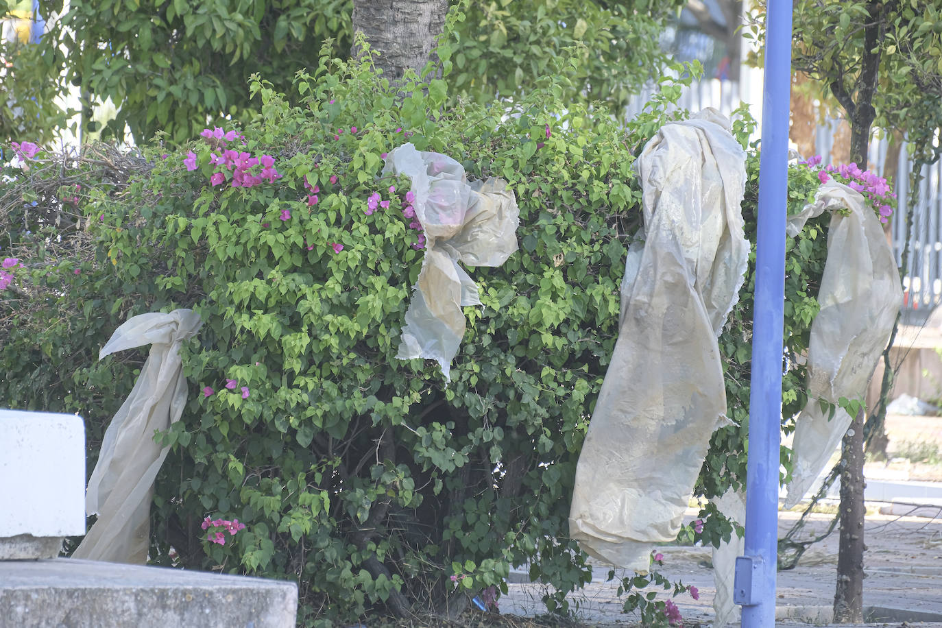 La Cartuja vive el rodaje de '1992', la serie de Álex de la Iglesia para Netflix