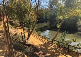 Alcalá de Guadaíra se adapta a la sequía, cambia los riegos para ahorrar agua e instalará aljibes y pozos urbanos