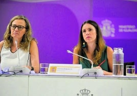 La delegada del Gobierno contra la violencia de género desvincula el caso de Dos Hermanas con la Ley del 'sólo sí es sí'
