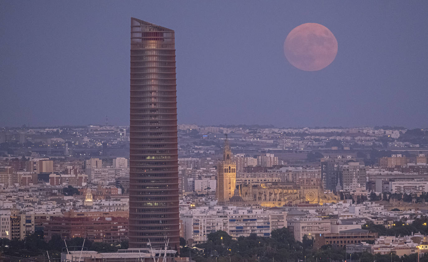 En imágenes, la belleza de la Súperluna azul en Sevilla