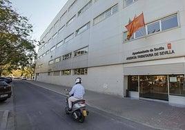 Estos son los servicios del Ayuntamiento de Sevilla que ya funcionan tras el hackeo