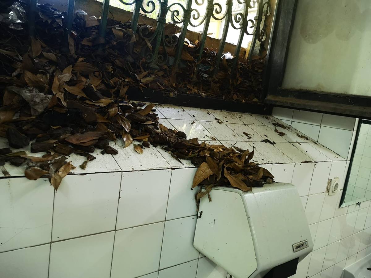 Estado en el que se encuentra el teatro Lope de Vega de Sevilla