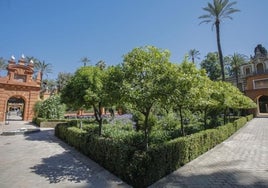 Patrimonio autoriza finalmente una iluminación artística para un espectáculo de luces en el Alcázar de Sevilla