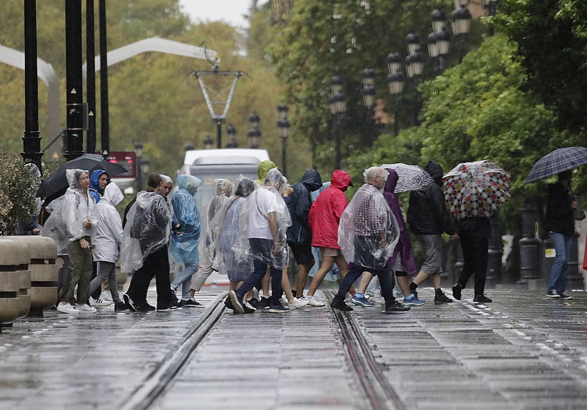 Un grupo de personas camino por Sevilla bajo la lluvia