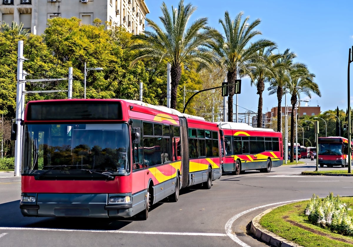 Varios autobuses de Tussam en Sevilla