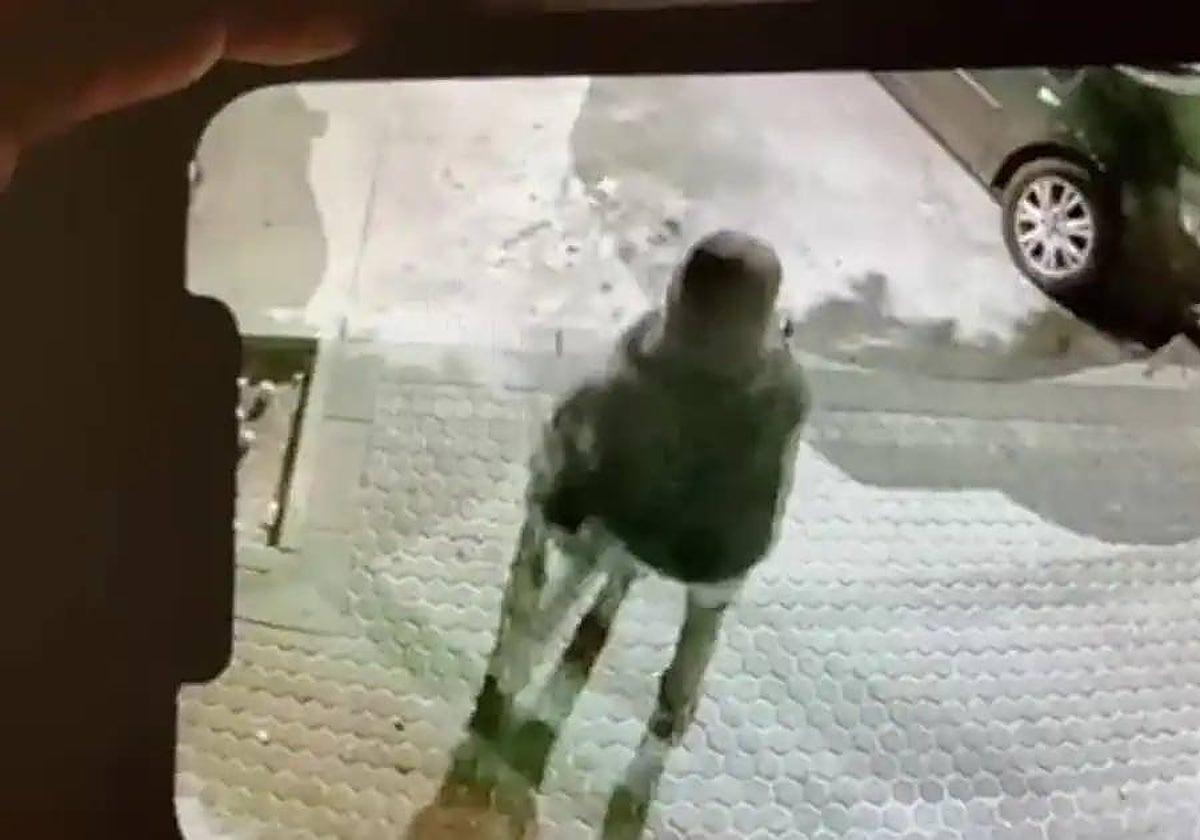 Imagen de una cámara de seguridad que grabó el ataque mediante la técnica del mataleón a una vecina de Sevilla