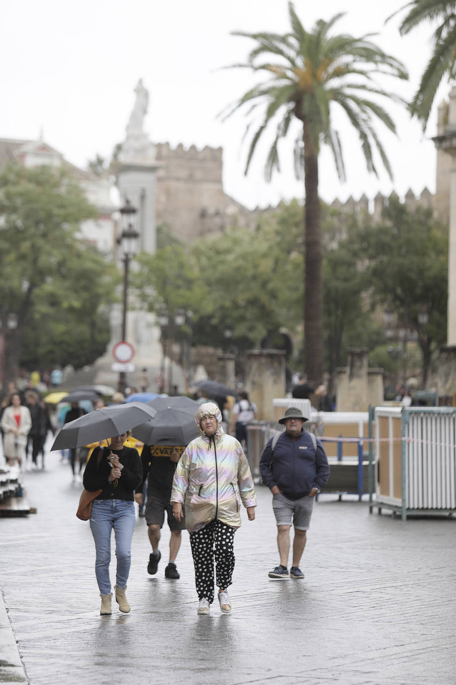  Jornada de jueves con fuertes lluvias provocadas por la borrasca 'Aline' en Sevilla