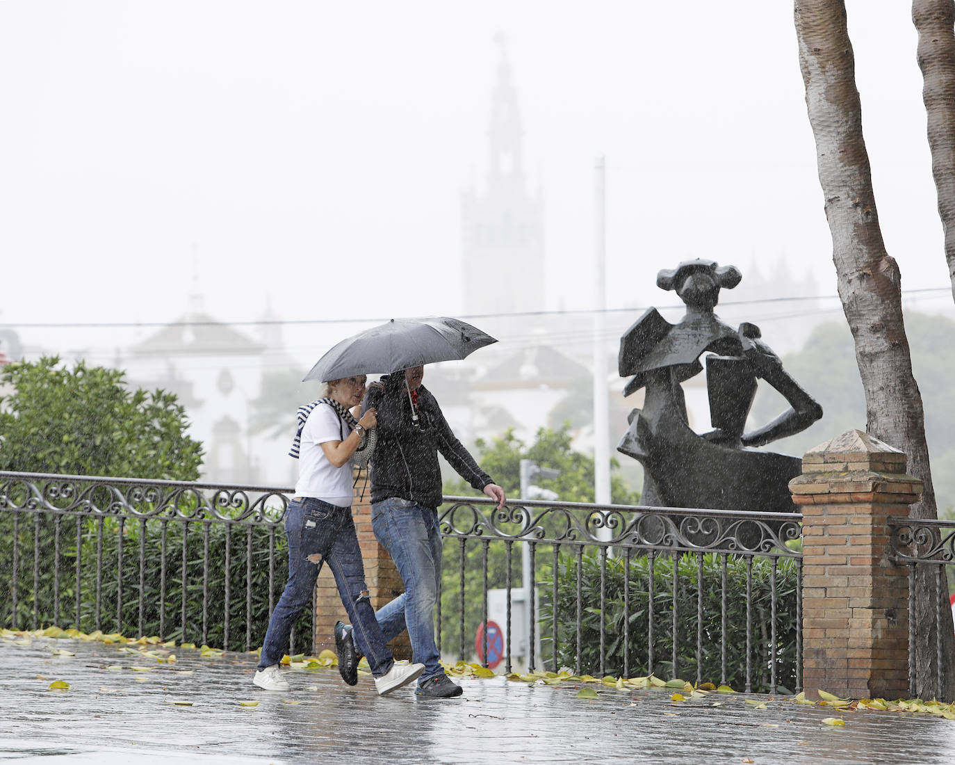  Jornada de jueves con fuertes lluvias provocadas por la borrasca 'Aline' en Sevilla