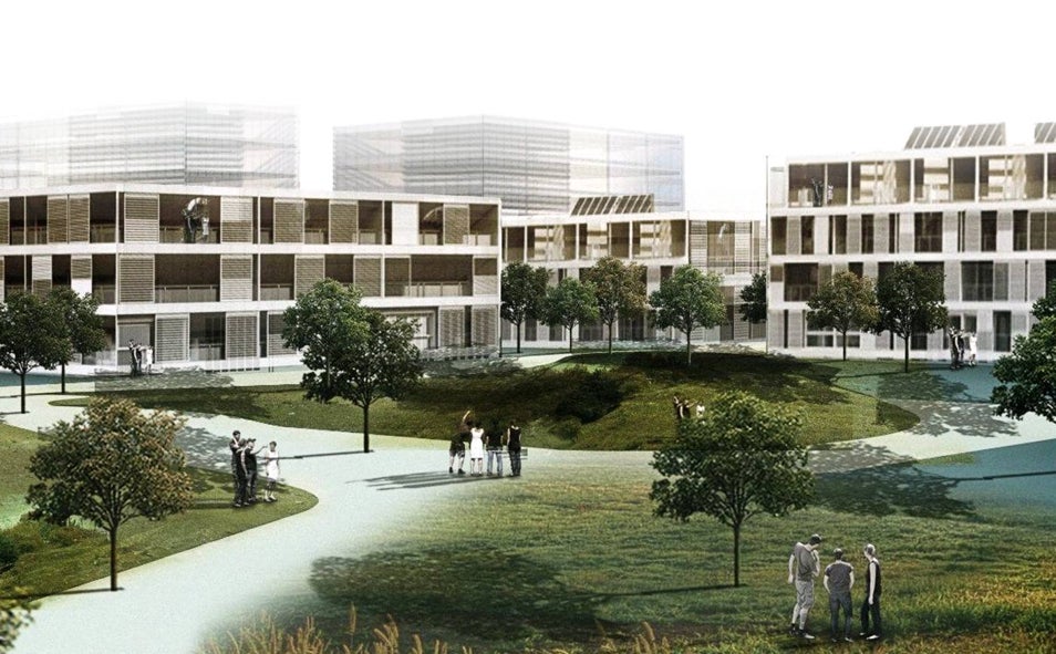 Imagen principal - Barríos del Pítamo, Palmas Altas y Cruzcampo