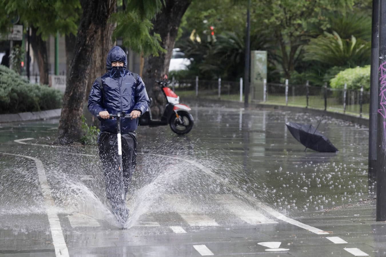 Los vientos alcanzaron más de 70 kilómetros por hora y provocó la rotura de muchas ramas y árboles 