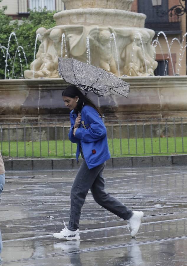 Los vientos alcanzaron más de 70 kilómetros por hora y provocó la rotura de muchas ramas y árboles 