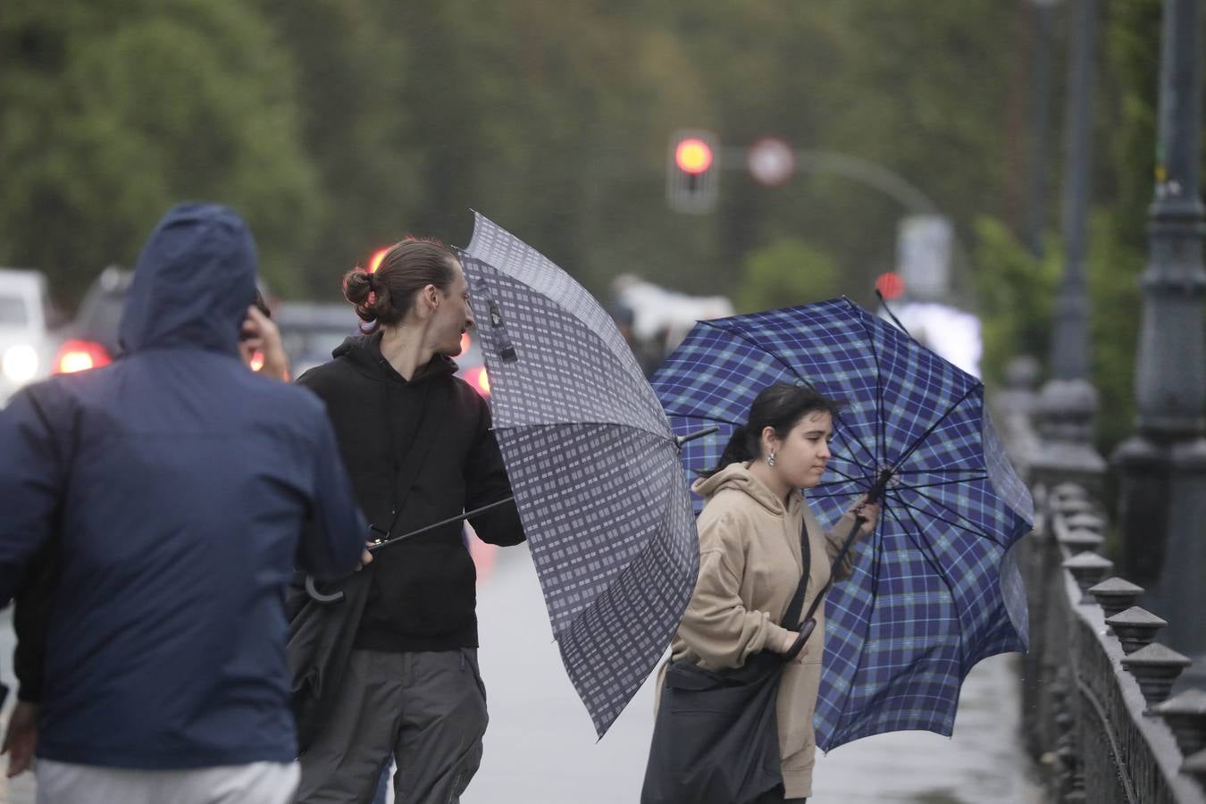 Los vientos alcanzaron más de 70 kilómetros por hora y provocó la rotura de muchas ramas y árboles 