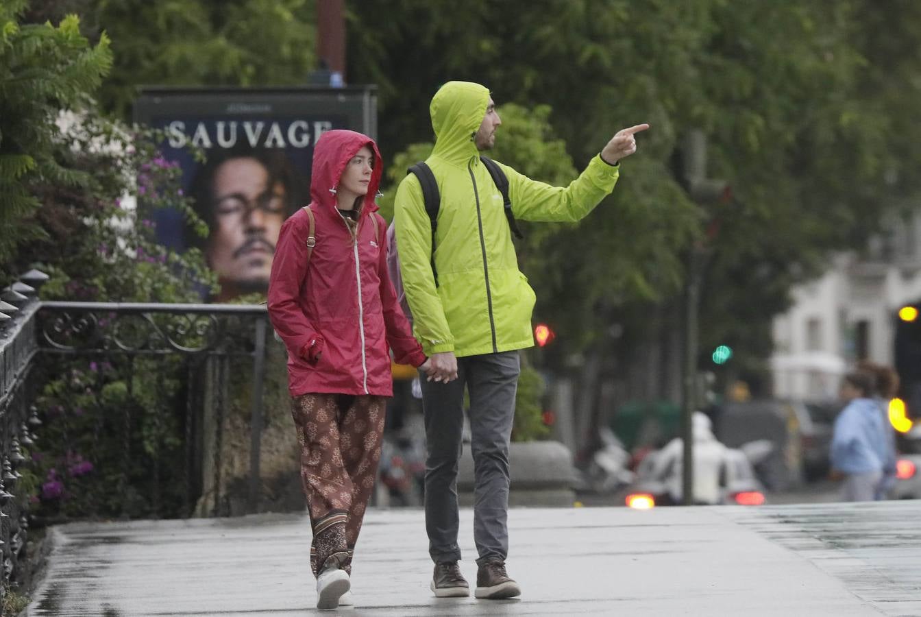 Los vientos alcanzaron más de 70 kilómetros por hora y provocó la rotura de muchas ramas y árboles 
