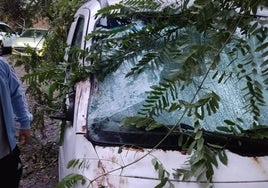 Bernard dejó en Sevilla un ciclón tropical con rachas de viento de hasta 103 kilómetros por hora