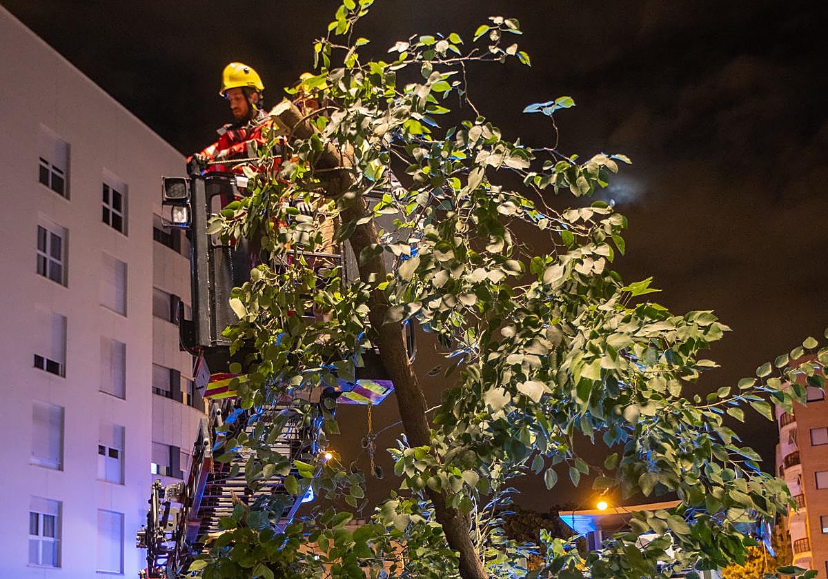 Los bomberos retiran un árbol caído sobre un coche ayer por la tarde en la calle Amador de los Ríos