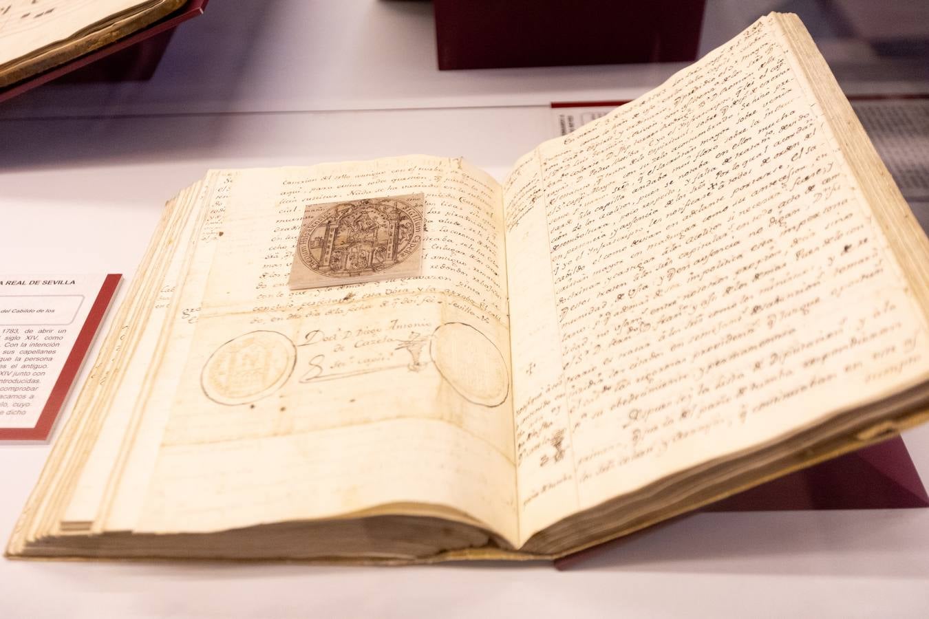 Alguno de los momentos de la inauguración de la exposición 'San Fernando, el que más teme a Dios' en la Catedral