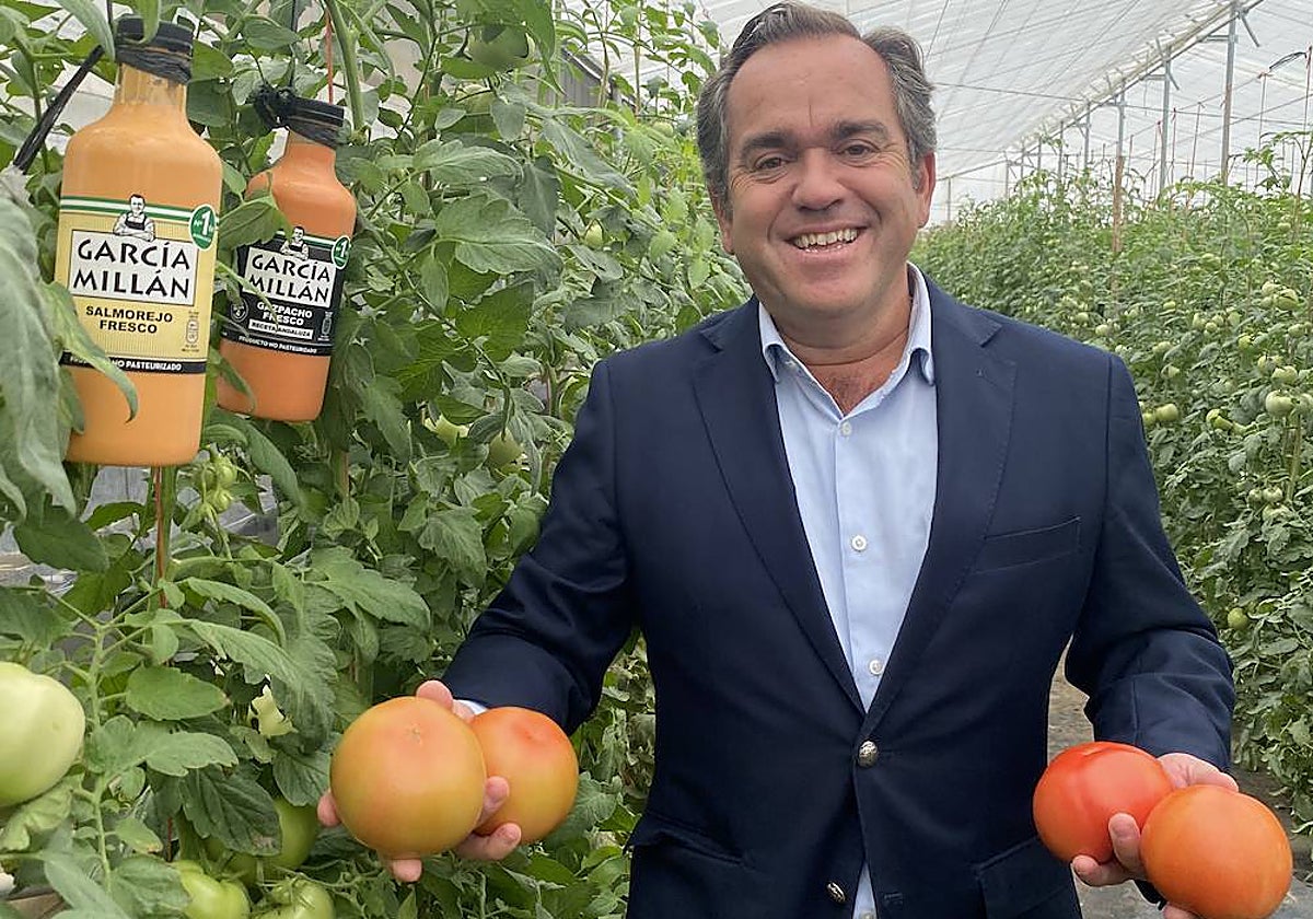 Francisco Viguera, director general de García Millán, en una finca de tomates de Los Palacios