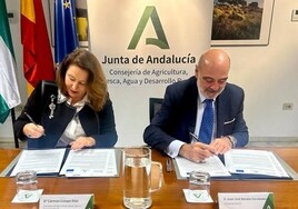 La Junta de Andalucía respaldará el programa para la mejora genética del caballo español