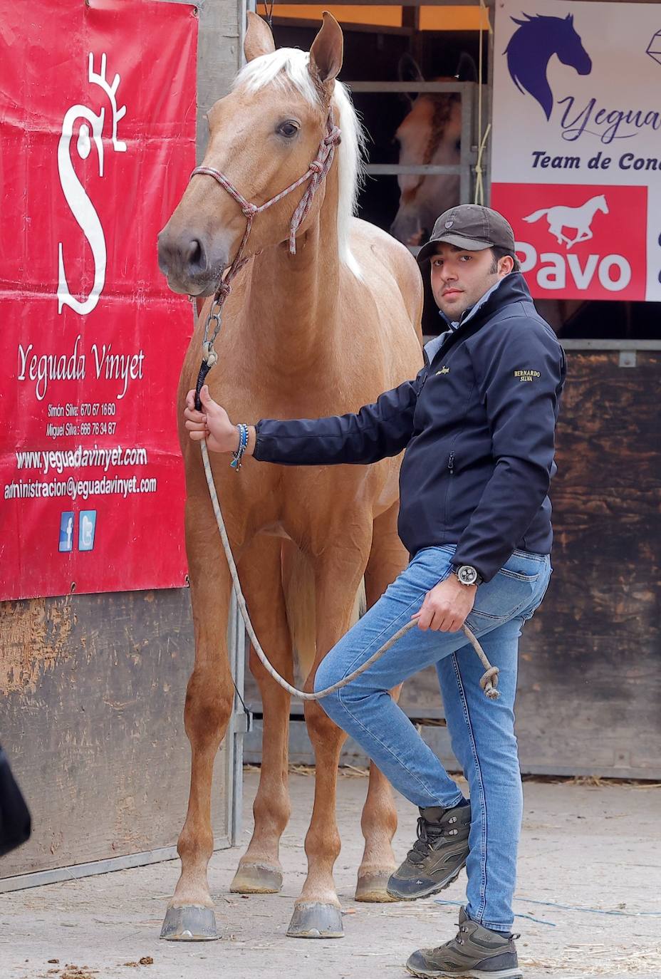 Preparativos para el SICAB en el Palacio de Congresos y Exposiciones de Sevilla