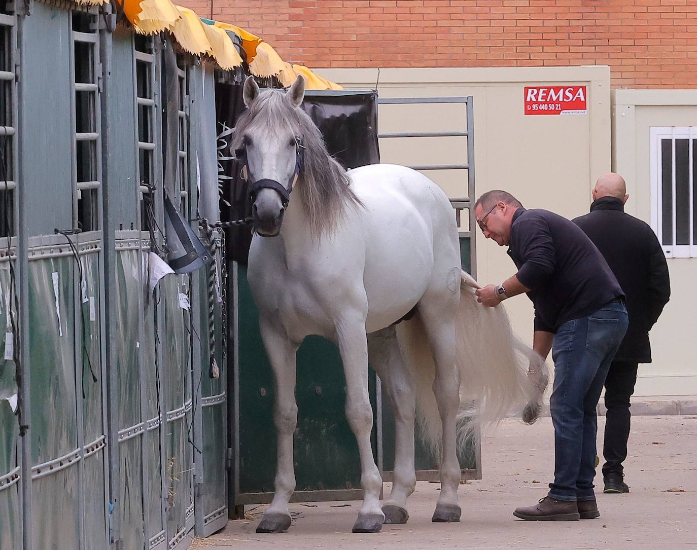 Preparativos para el SICAB en el Palacio de Congresos y Exposiciones de Sevilla