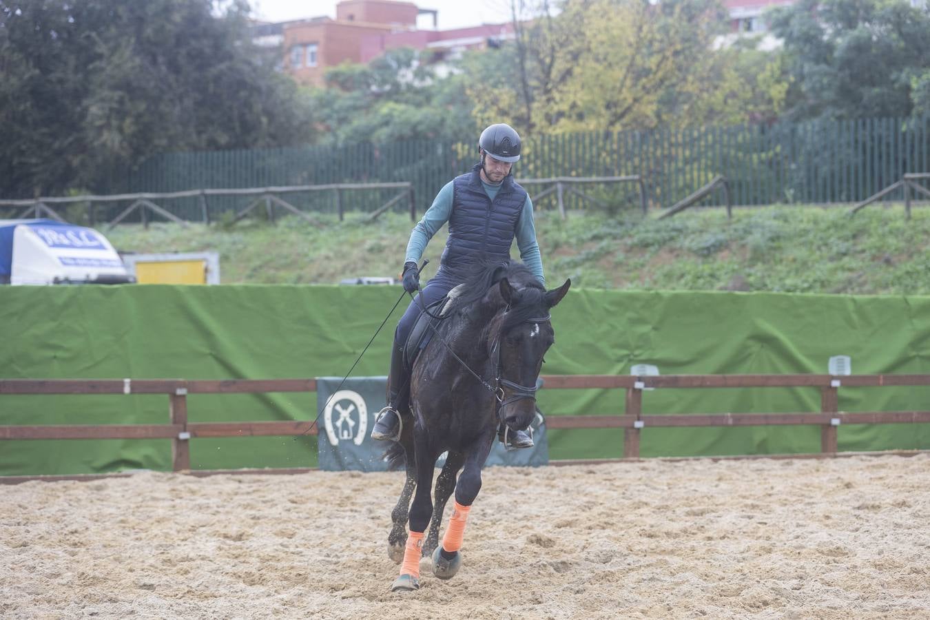 Multitud de actividades atraen cada día a los aficionados al mundo del caballo 